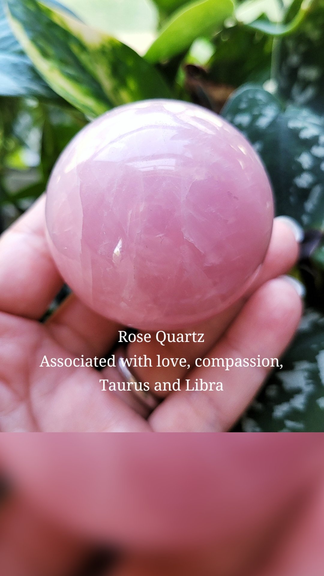Rose Quartz
Associated with love, compassion, Taurus and Libra
